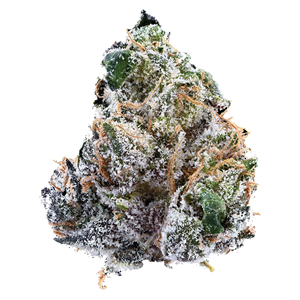 Nugz - Guava Jam - Indica - 7g
